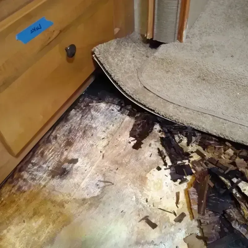 Wood Floor Water Damage in Montgomery County, MD